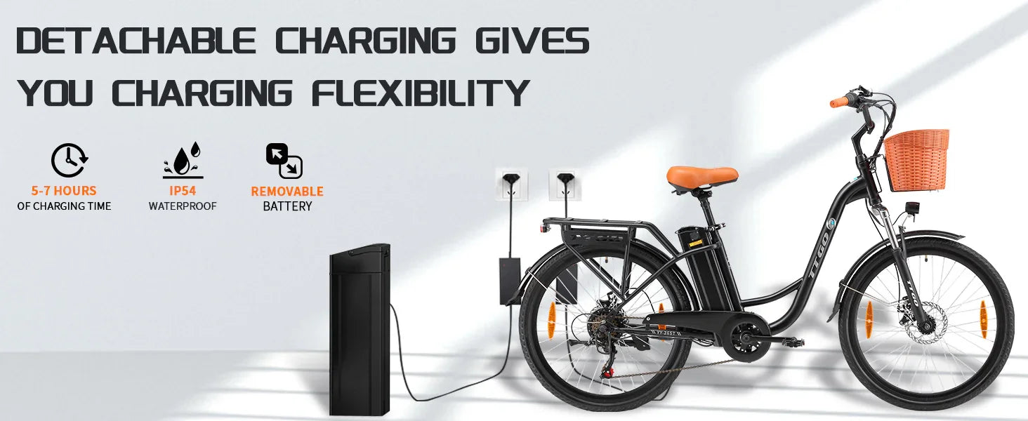 TTGO C2 (YY-26ST) Ebike - TTGO E-Bike