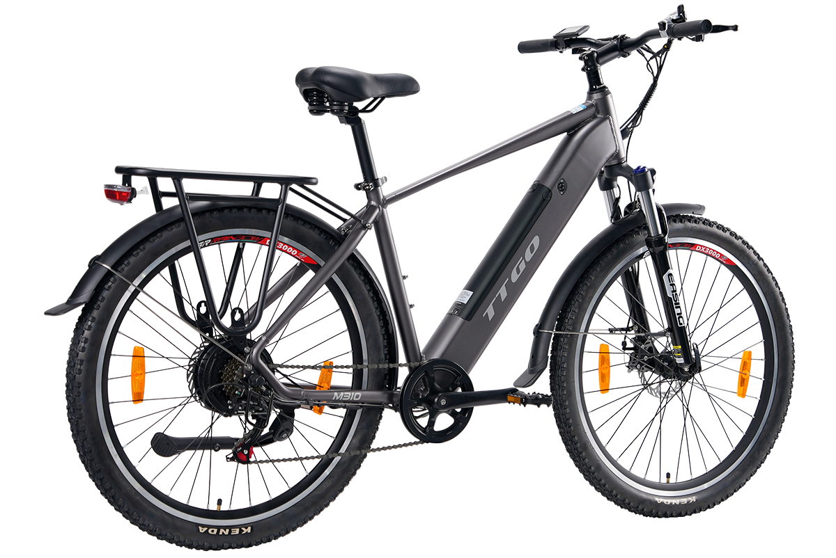 TTGO M310