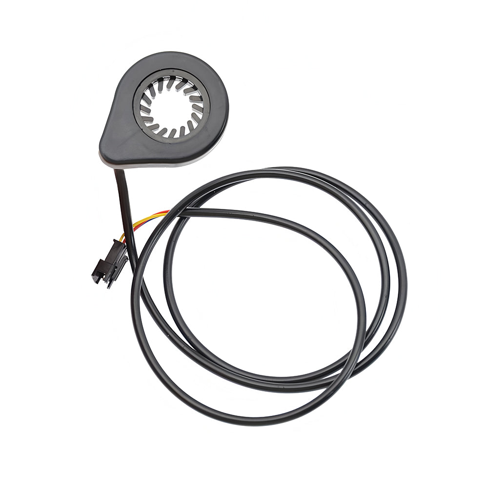 Sensor