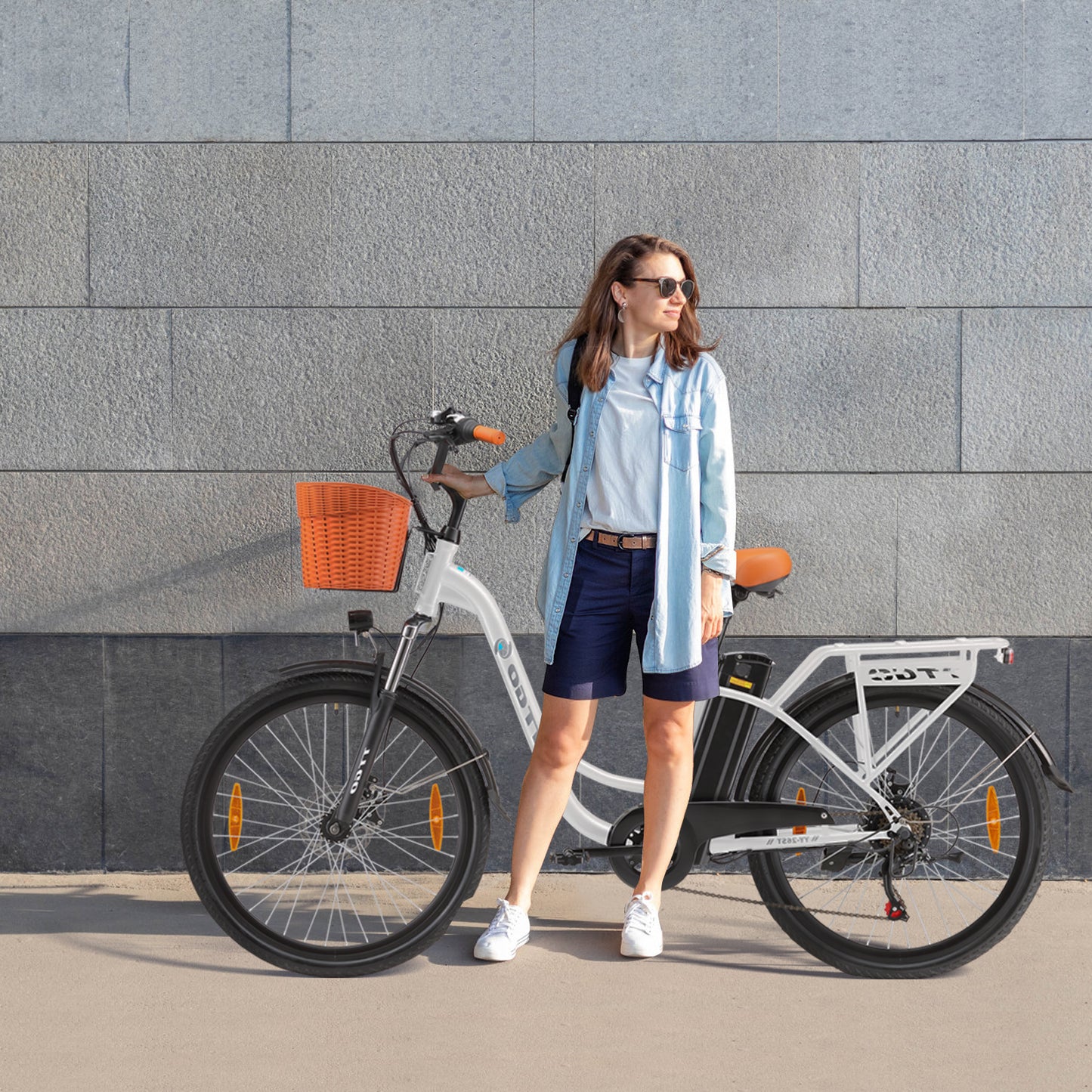 TTGO C2 (YY-26ST) Ebike