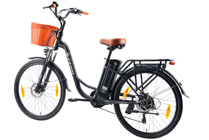 TTGO C2 (YY-26ST) Ebike