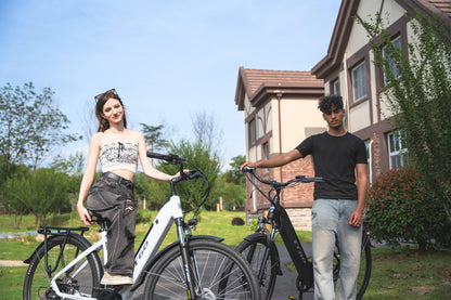 TTGO C3(HZ-28ST) City ebike