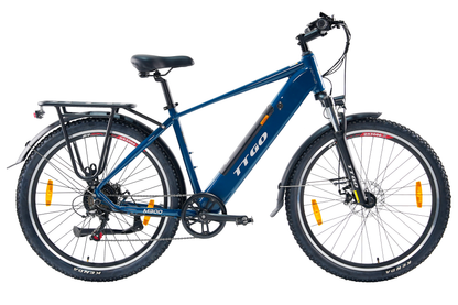 TTGO M300