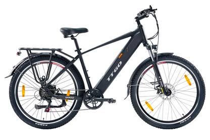 TTGO M300