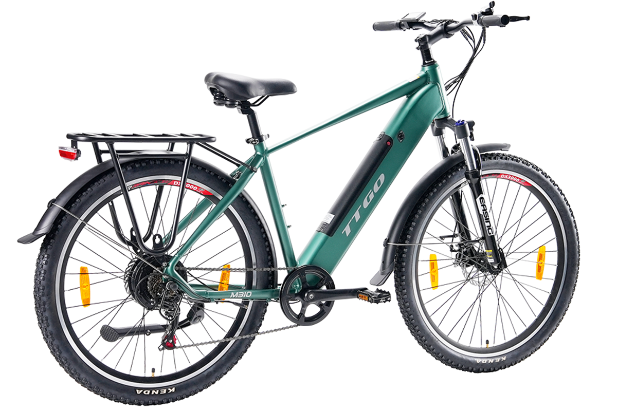TTGO M310