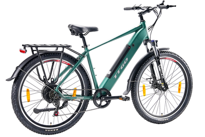 TTGO M310